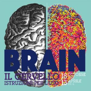 brain-il-cervello-istruzioni-per-l-uso-museo-civico-storia-naturale-milano-18-10-2013