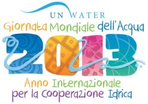 anno internazionale cooperazione idrica