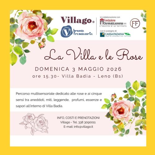 Anteprima box collaborazioni (29)