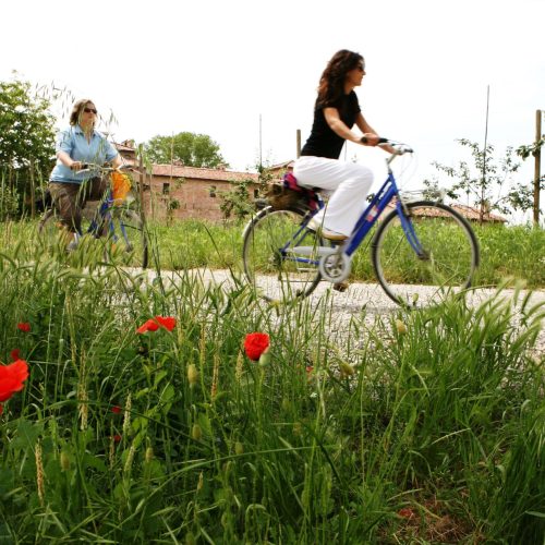 La BioBike: una biciclettata alla scoperta dei fontanili di Leno