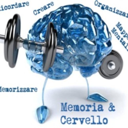 Il cervello e la memoria