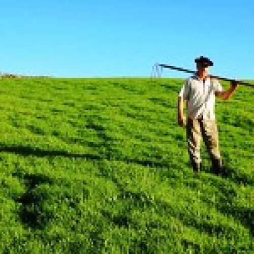 Una stagione di diritti. Incontro sull’agricoltura contadina e il lavoro migrante stagionale