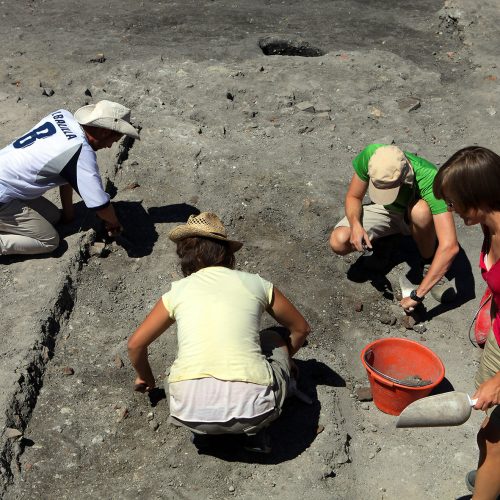 Campagna scavo 2016: archeologi cercasi!